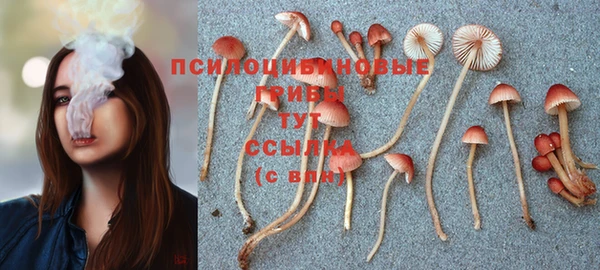 прущая мука Гусь-Хрустальный