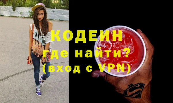 прущие грибы Ельня