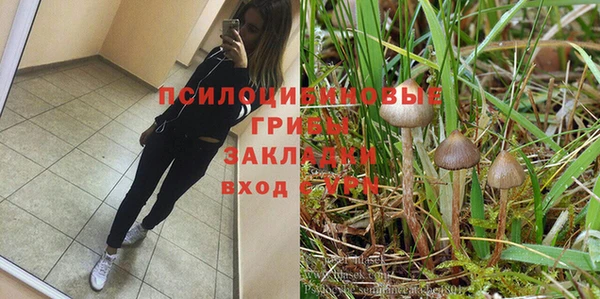 spice Дмитровск