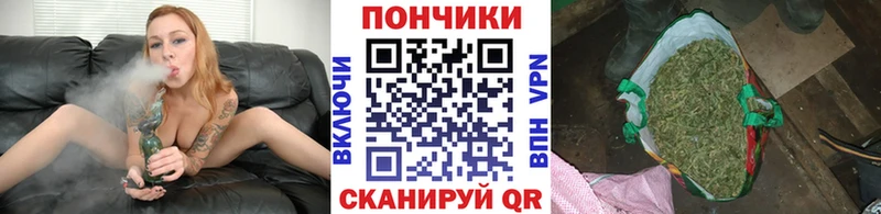 Бошки Шишки LSD WEED Купить где Киселёвск